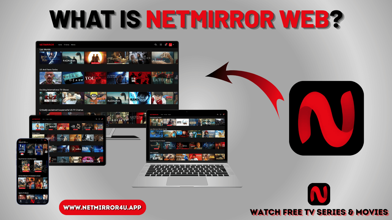 What is NetMirror Web
